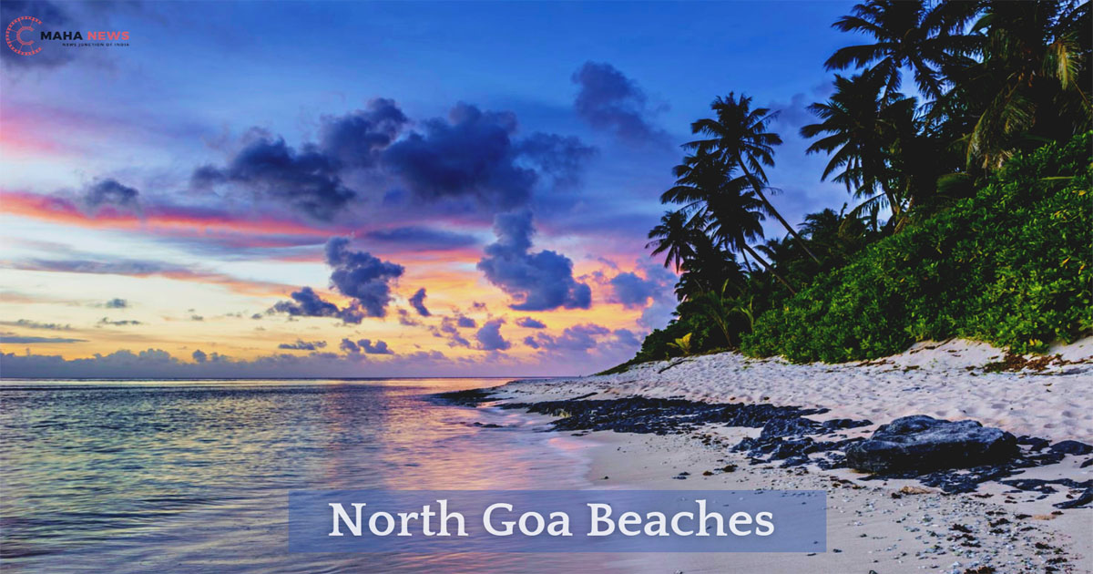 north goa beaches list best beaches in north goa north goa explore