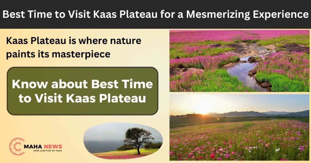 Best kaas plateau season for a Mesmerizing Experience